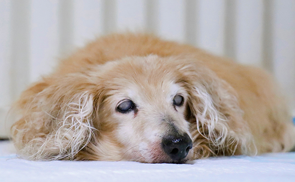 神経疾患の診療