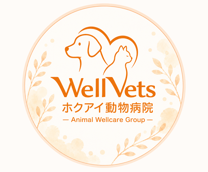 菅原 薫